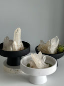Celestial Clarity - Medium Clear Quartz Crystal Plant
