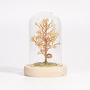 Crystal Tree with Dome Cover – Handcrafted Energy Decor for Home & Office