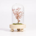 Crystal Tree with Dome Cover – Handcrafted Energy Decor for Home & Office