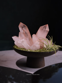 Heart’s Whisper - Rose Quartz Crystal Plant