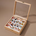 Crystal Discovery Luxe Box – Raw Stone Specimen Set
