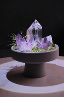 Realm of Serenity - Amethyst Crystal Plant