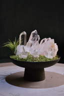 Heart’s Whisper - Rose Quartz Crystal Plant