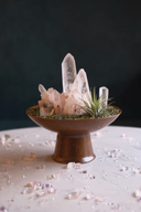 Heart’s Whisper - Rose Quartz Crystal Plant