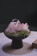 Heart’s Whisper - Rose Quartz Crystal Plant