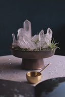 Celestial Clarity - Clear Quartz Crystal Plant